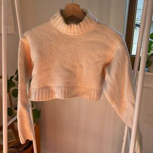 Aritzia Merino Wool Sweater